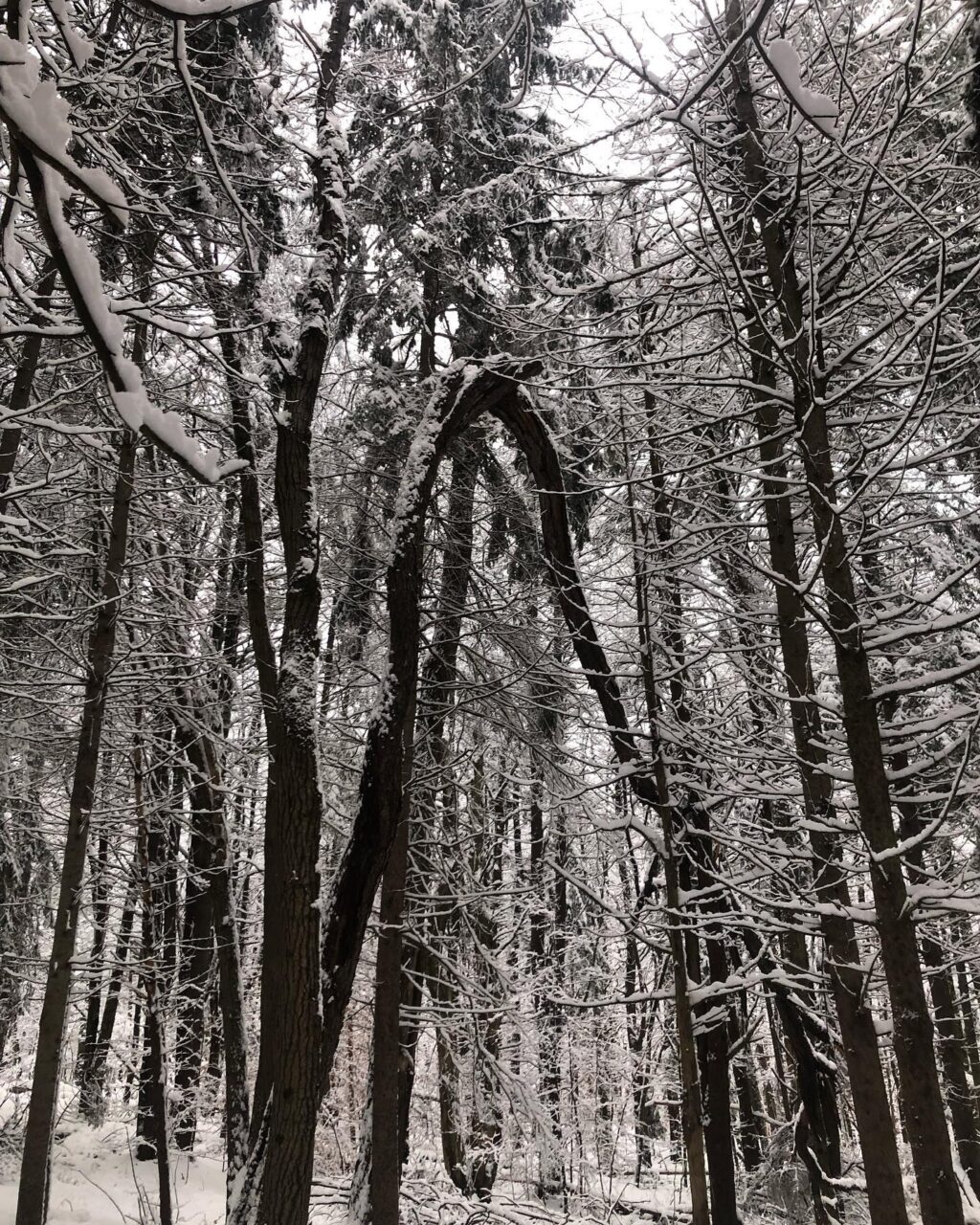 Instagram post from creatingourwayhome. This post is in position 5.