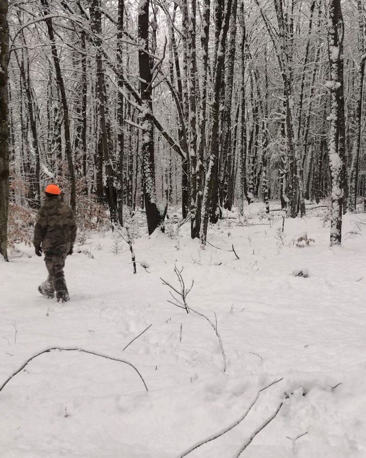Instagram post from creatingourwayhome. This post is in position 3.